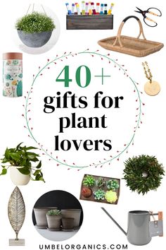 the top ten gifts for plant lovers