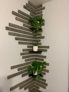 two potted plants sitting on top of wooden planks in a room with white walls