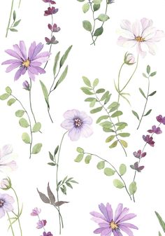 purple flowers and green leaves on a white background