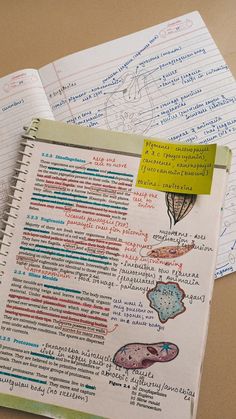 an open notebook with writing on it and some papers attached to the pages next to it