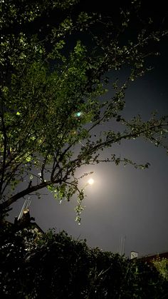 the moon shines brightly in the dark night sky above a tree and street lamp