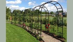 an outdoor garden with lots of plants and flowers growing in it's own area