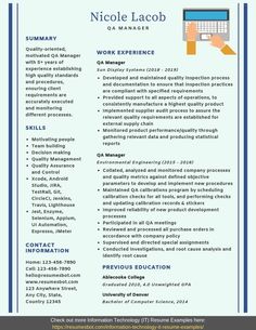 a professional resume template for an it manager in word and excel format, with no work experience