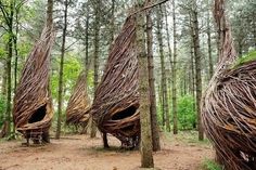 an image of some kind of strange thing in the woods that looks like it is made out of sticks