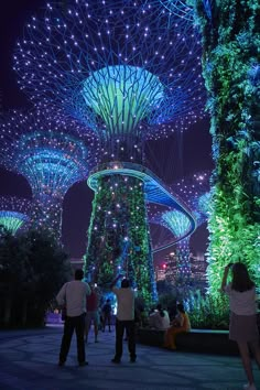 people are standing in front of the trees at night