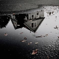 a house in the middle of a puddle with leaves on the ground next to it