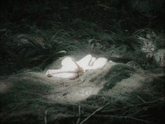 a naked woman laying in the grass