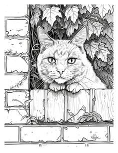 a black and white drawing of a cat peeking out from behind a brick wall with ivy growing on it