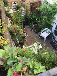 an aerial view of a garden with lots of flowers