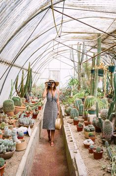 a woman in a hat and dress walking through a greenhouse filled with cacti