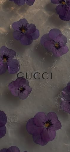 purple flowers floating in water with the word gucci on it's bottom right corner