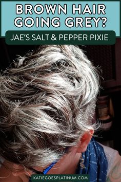 Going gray can be a transformative experience! This post features Jae Butler's grey hair transformation and her journey of ditching the dye and letting her natural hair flourish. Discover how she embraced the grays, overcame challenges, and found newfound confidence in her short silver hair. Silver Haired Beauties, learn style tips for short silver hair and get inspired to love your natural beauty at every stage Silver Blonde Hair Highlights, Salt And Pepper Hair Formula, How To Go Gray, Short Haircuts To Grow Out Gray, Color Gray Hair Naturally, Silver Grey Pixies, Women’s Salt And Pepper Hair, How To Tame Wiry Gray Hair, Brown Hair Going Grey