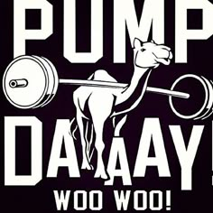 a black and white image of a camel lifting a barbell with the words pump daay