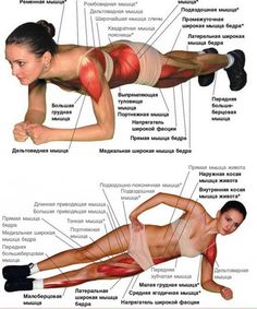 an image of a woman doing exercises with her muscles labeled in english and thai words