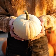 a person holding a white pumpkin in their hands