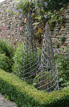 an outdoor garden with stone walls and green plants