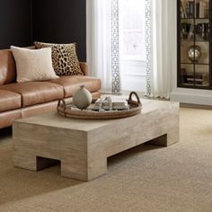 a living room with couches, coffee table and bookshelf in the corner