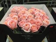 a bunch of pink roses sitting in a box on a conveyor belt at a flower shop