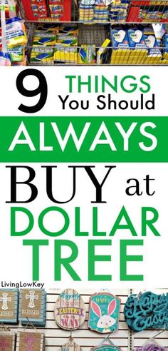 there are many things you should always buy at dollar tree