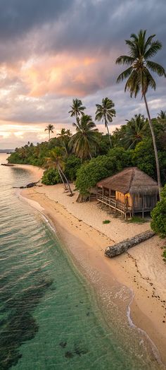 an aerial view of a beach with palm trees and a hut on the shore at sunset