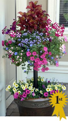 two potted plants with purple and white flowers in front of a house window sill