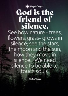 the quote god is the friend of silentce see how nature - trees, flowers, grass - grows in the moon and the sun, how they move in science we need to be able to be able to