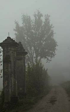 an old cemetery in the fog on a country road