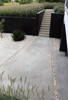 an outdoor area with stairs, plants and gravel