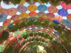 many colorful umbrellas are hanging from the ceiling