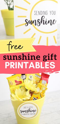 a yellow bucket filled with sunflowers and the words free sunshine gift printables