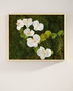 an arrangement of white flowers and green moss in a wooden frame on the wall above it