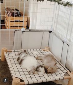 two cats laying on top of a bed in a room with white walls and flooring