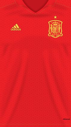 the spain home shirt for the 2010 world cup