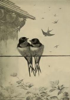 two birds sitting on top of a wire next to each other in front of a window