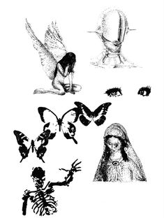 four different types of insect drawings on a white background, each with an individual's own image