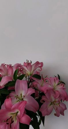 pink flowers are in a vase against a white wall