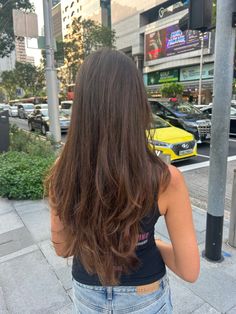 long layers haircut Long Haired Layers, Straight Hair Layers Unstyled, Long Straight Hair Long Layers, Long Hair With Slight Layers, Soft Layers For Long Hair, Haircuts For Long Hair Without Bangs, Lightly Layered Long Hair, Long Layered Haircuts Brown Hair, Chunky Layers Long Hair Straight