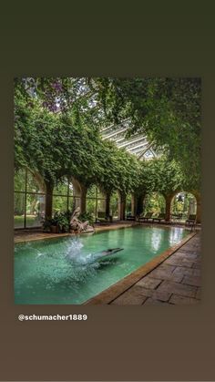 an outdoor swimming pool surrounded by trees and greenery is featured in this photo with the caption above it