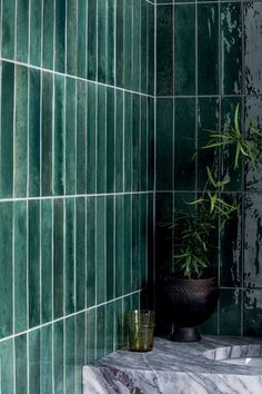 a potted plant sitting on top of a marble counter next to a green tiled wall