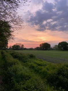 the sun is setting over an open field with trees in the foreground and clouds in the background