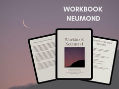 the workbook neumond is open and showing three pages