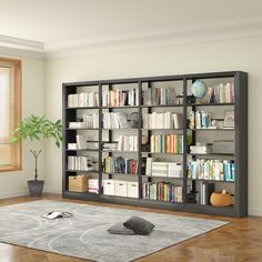 a living room with a book shelf filled with books next to a potted plant