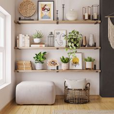 a living room filled with lots of shelves and plants on top of each shelf in front of a window