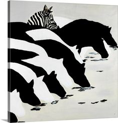 two zebras are standing in the water near some black and white horses, one is laying down