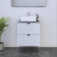 a white sink sitting under a mirror next to a potted green plant in a bathroom