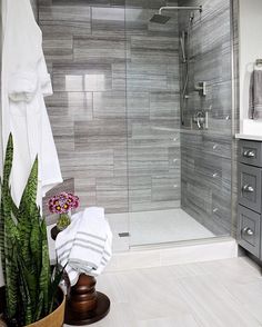 a bathroom with a shower, sink and toilet next to a potted cacti