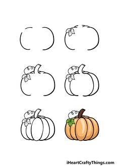 an image of pumpkins with different shapes and sizes to draw on the back side