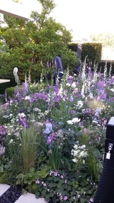 an outdoor garden with purple and white flowers