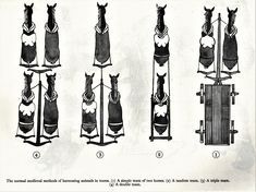 an old fashion illustration shows how to wear skis in the winter and fall, with instructions on how to tie them