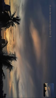 palm trees are silhouetted against the sky and clouds